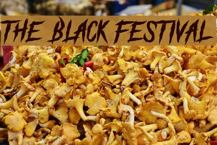 The Black Festival Font examples