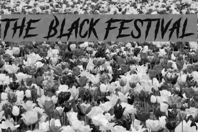 The Black Festival Font examples