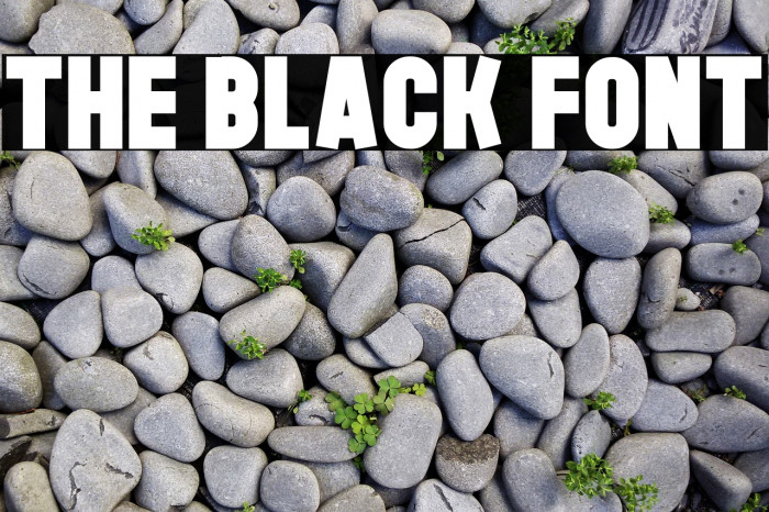 The Black Font フォント examples