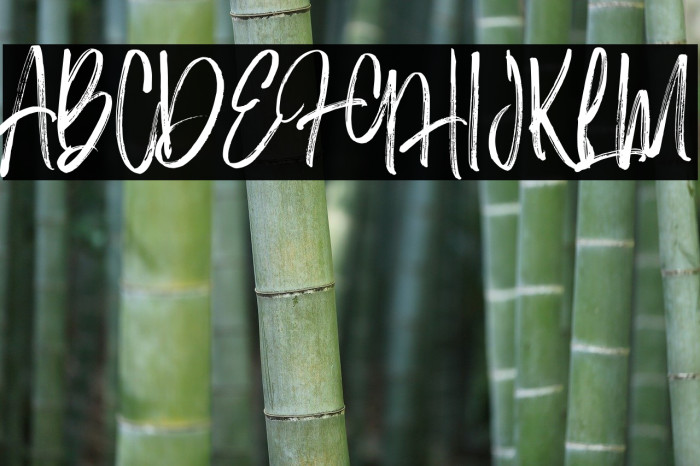 The Black Hat Font examples
