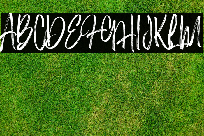 The Black Hat Font examples