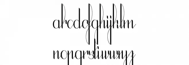 The Black Manba Polices MINUSCULES