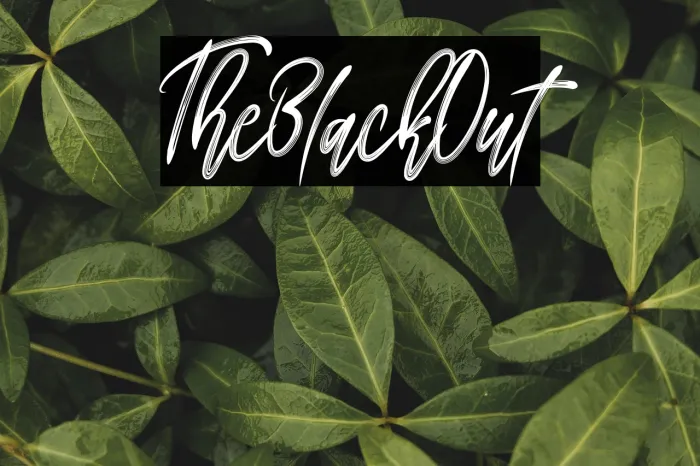 The Black Out Example 2