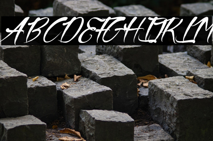 The Black Pearl Example 1