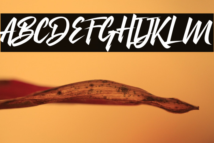 The Blackheads Example 1