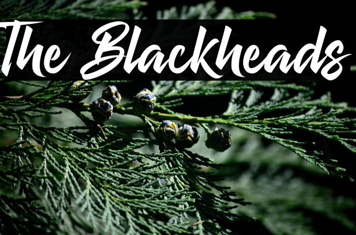 The Blackheads Example 1