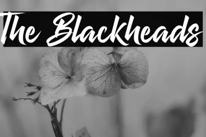 The Blackheads Font examples