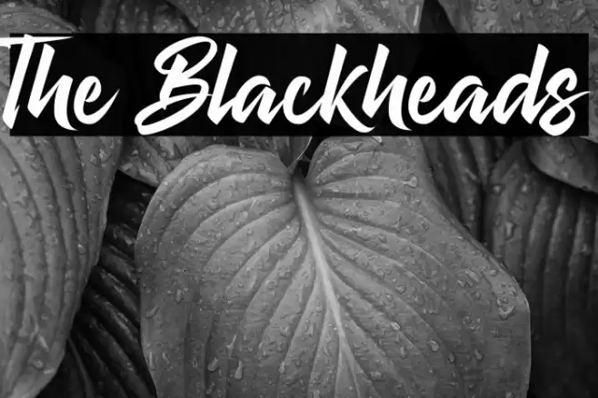 The Blackheads Font examples