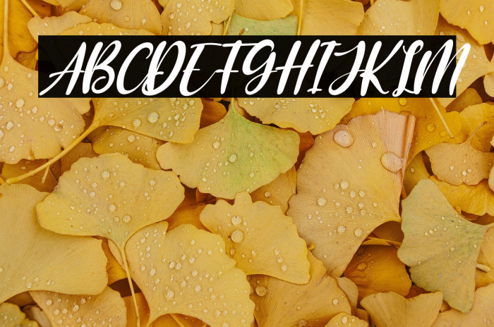 The Blester Italic Example 1