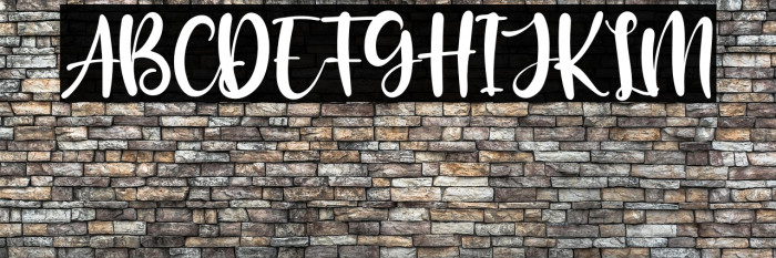 The Blester Example 1