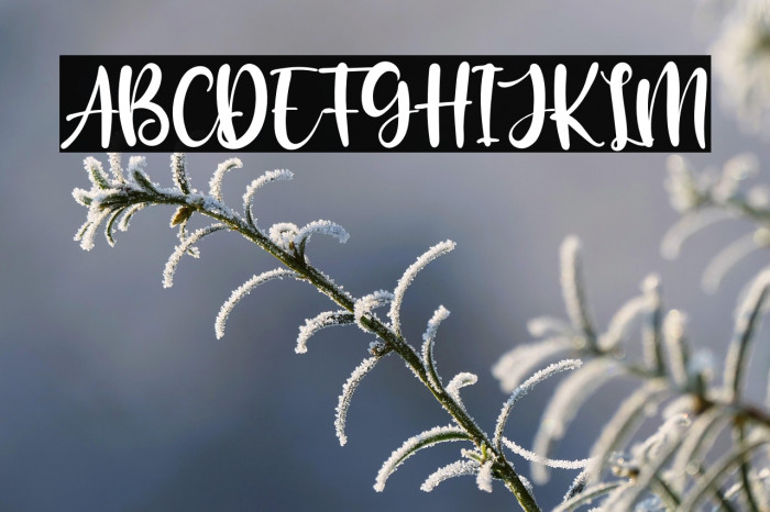 The Blester Example 2