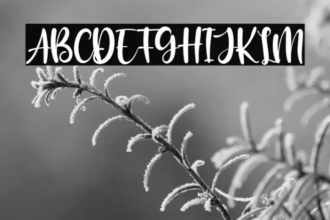 The Blester Font examples