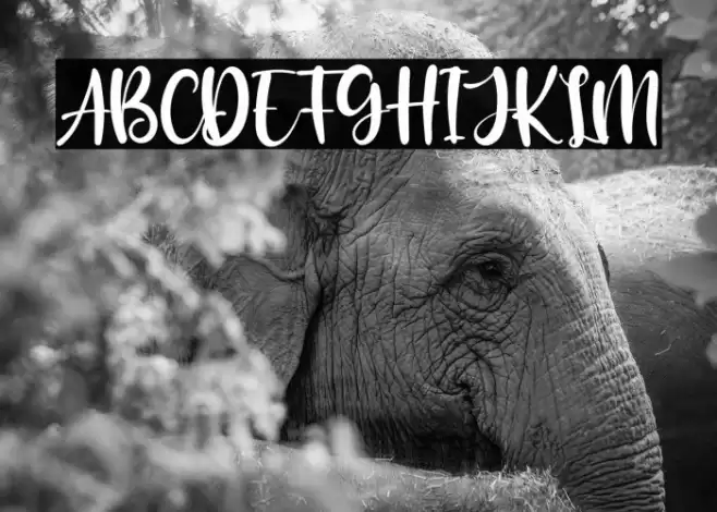 The Blester Font examples