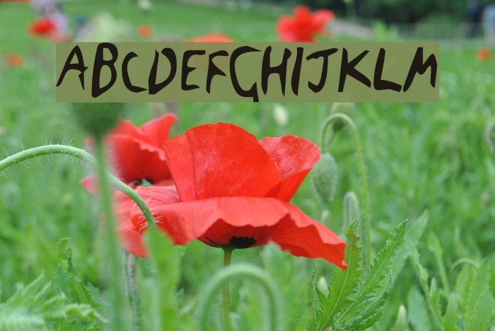 The Blick Font Schriftart examples