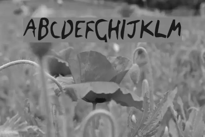 The Blick Font Font examples