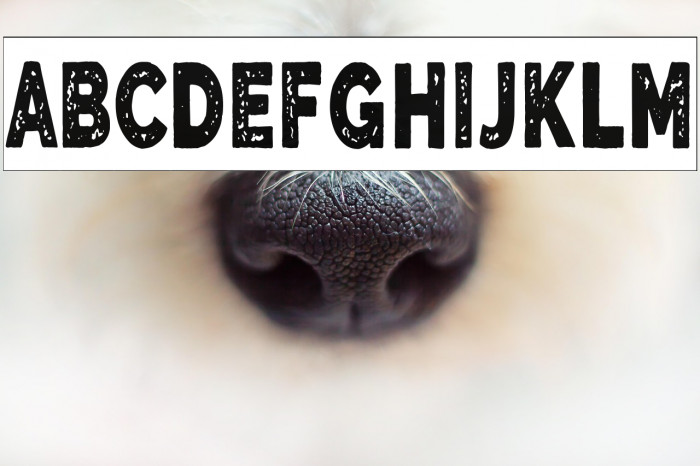 The Blue Alert Example 3