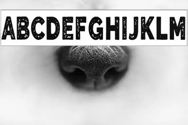 The Blue Alert Font examples