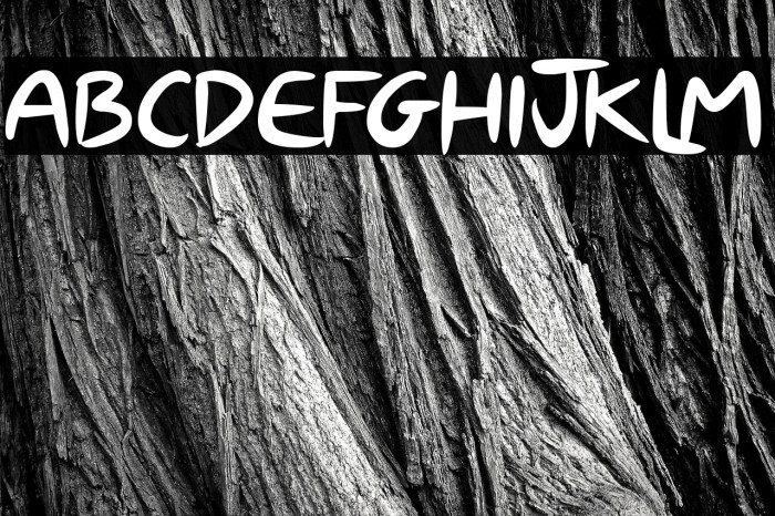 The Blue Jay Example 2