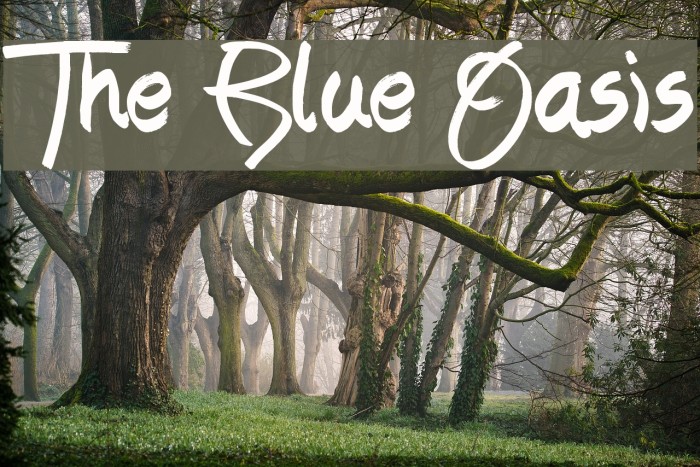 The Blue Oasis Font examples