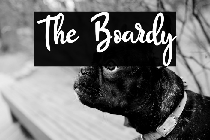 The Boardy Example 2