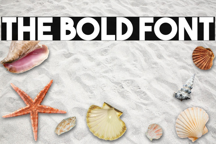 The Bold Font Font examples