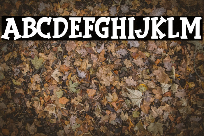 The Bomb Font examples