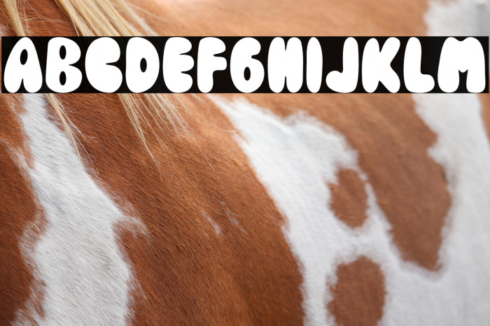 The Bonbon Example 3