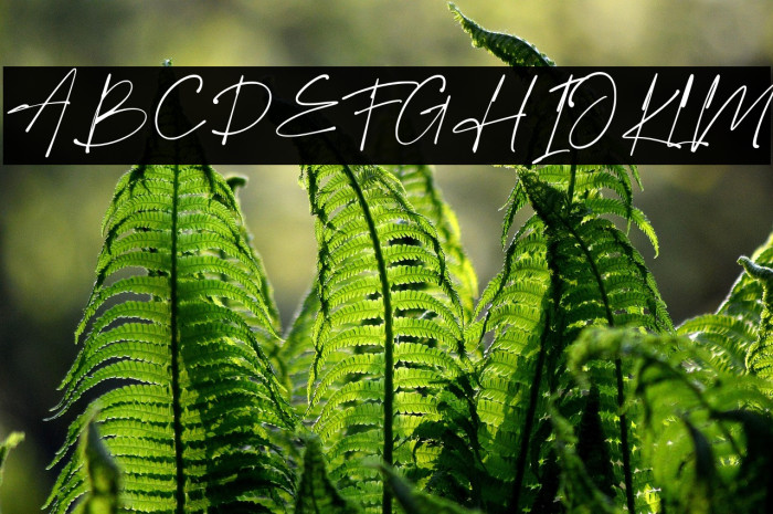 The Boston Example 2