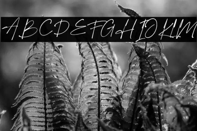 The Boston Font examples