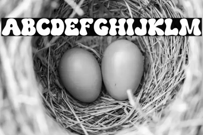 The Bouns Regular Шрифта examples