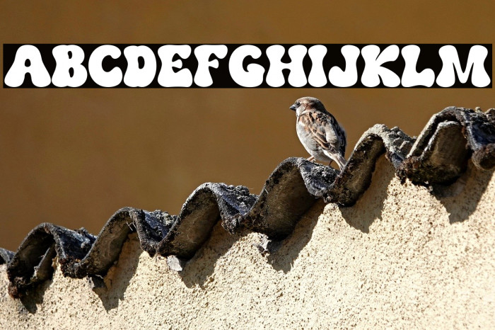 The Bouns Regular Example 2