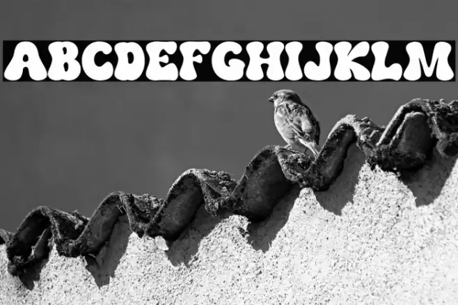 The Bouns Regular Шрифта examples