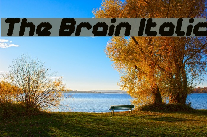The Brain Italic Font examples