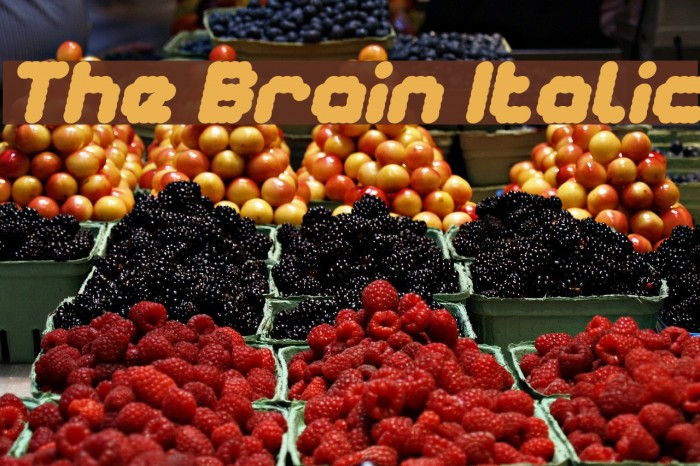 The Brain Italic Font examples