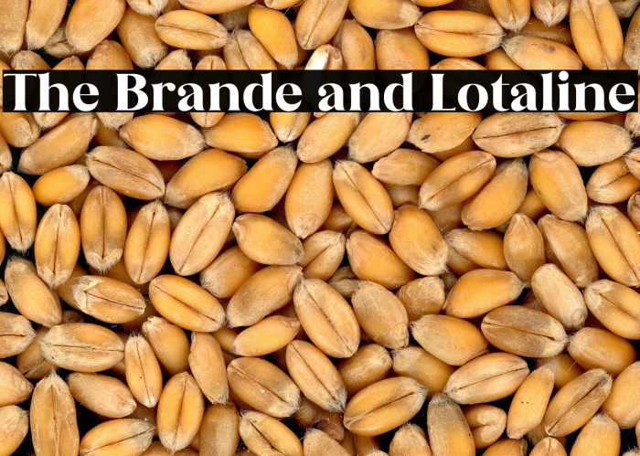 The Brande and Lotaline Example 2