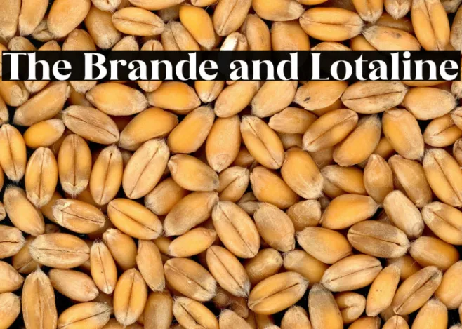 The Brande and Lotaline Example 2