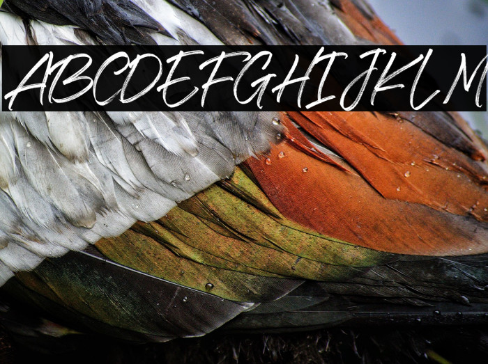 The Brands Quest Regular Example 1