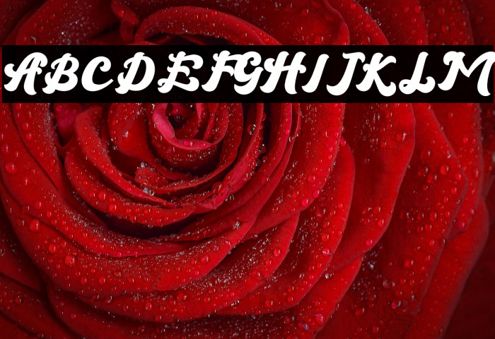 The Brandy Example 1