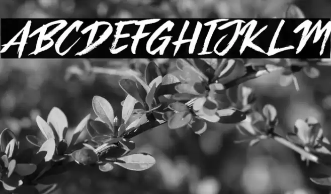 The Brat Font examples