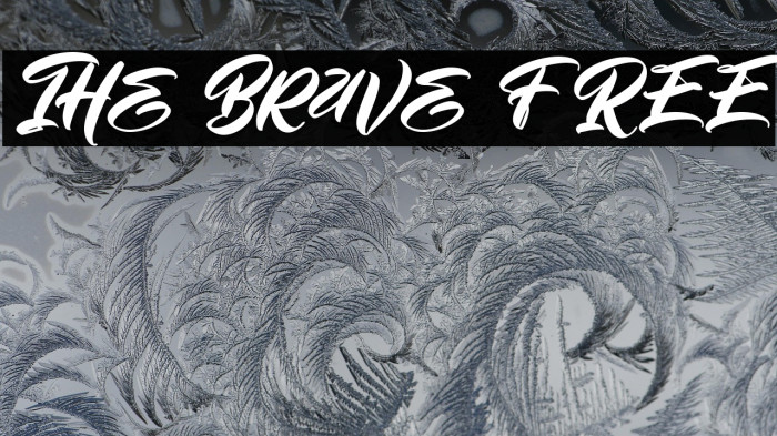 The Brave FREE Example 3