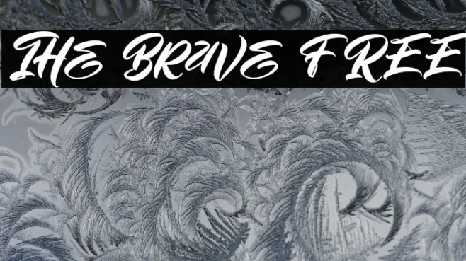 The Brave FREE Example 3
