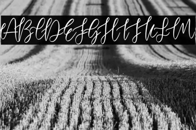 The Breathe Schriftart examples