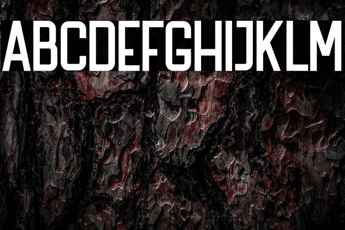 The Bredan Sans  Example 2