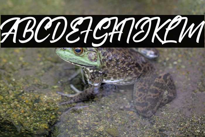 The Bredan  Example 1