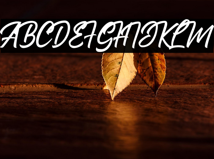 The Bredan  Example 3