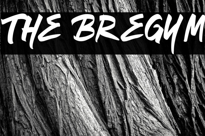 The Bregym Example 2