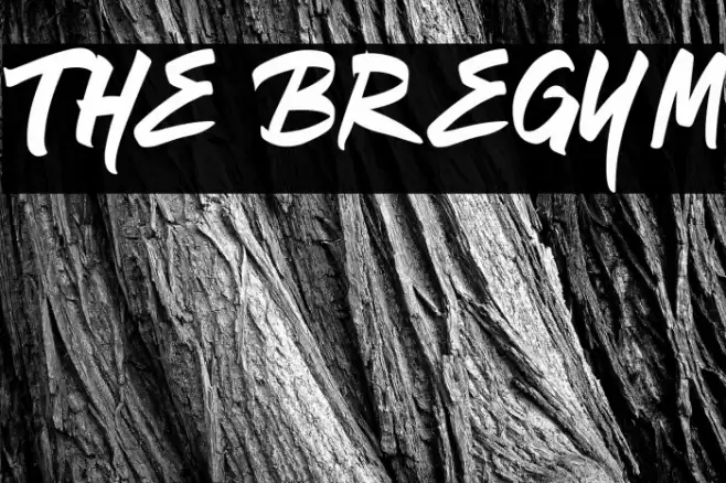 The Bregym Font examples