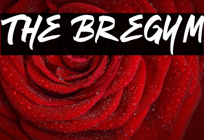 The Bregym Example 3