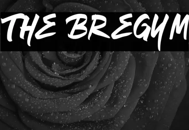 The Bregym Font examples