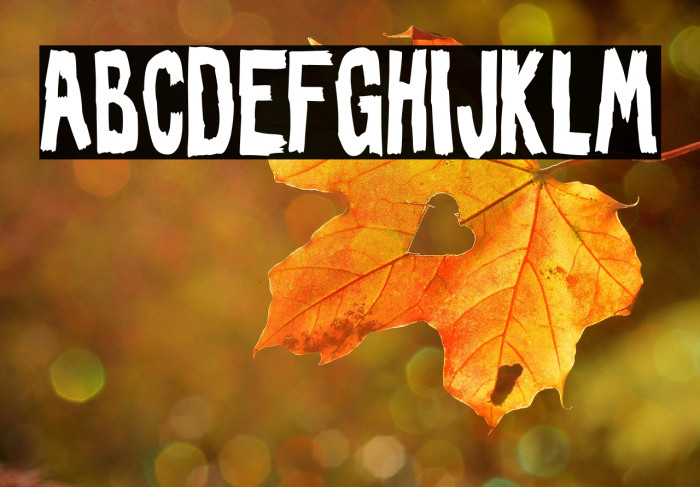 The Bride of the Leader Example 3